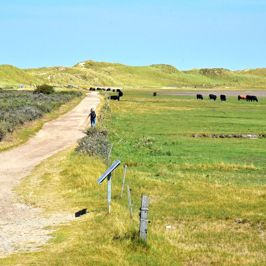 Auf dem Weg zur Wattwanderung