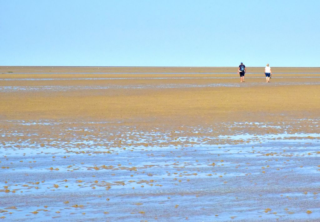 Auf der Wattwanderung vom Amrum nach Föhr