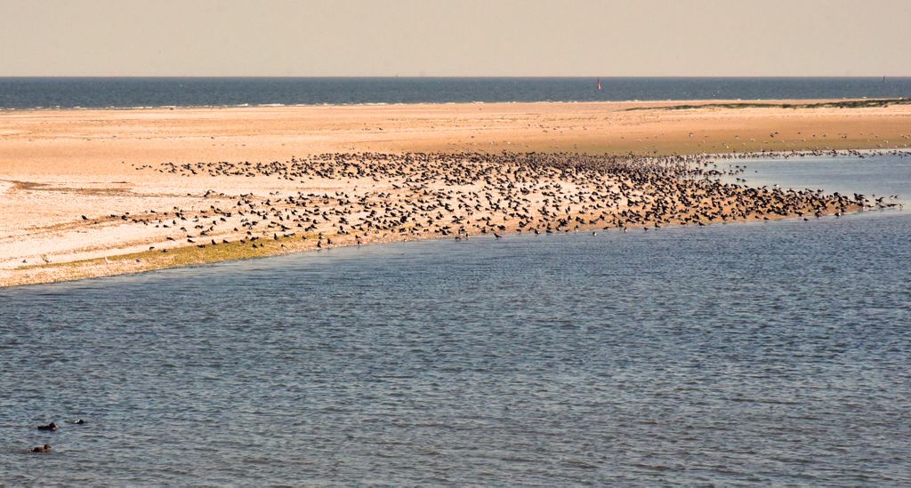 Blick von der Fähre von Sylt nach Amrum