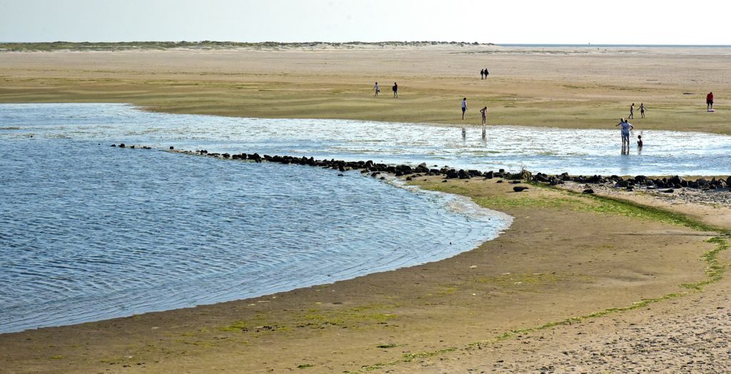 Blick von der Fähre von Sylt nach Amrum