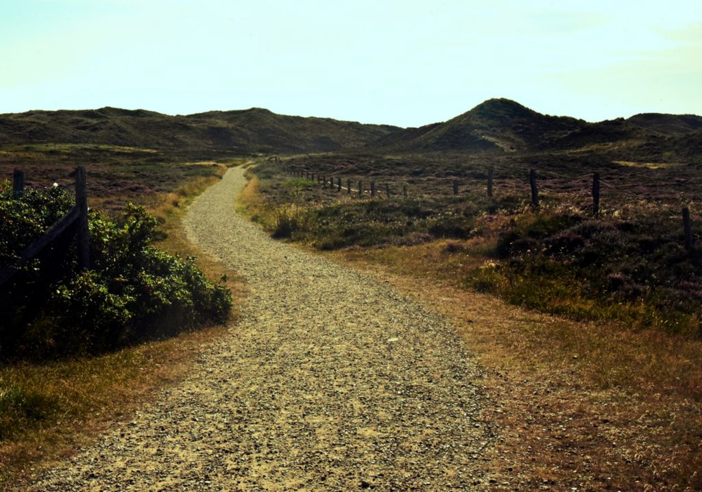 Dünenwanderweg auf Sylt