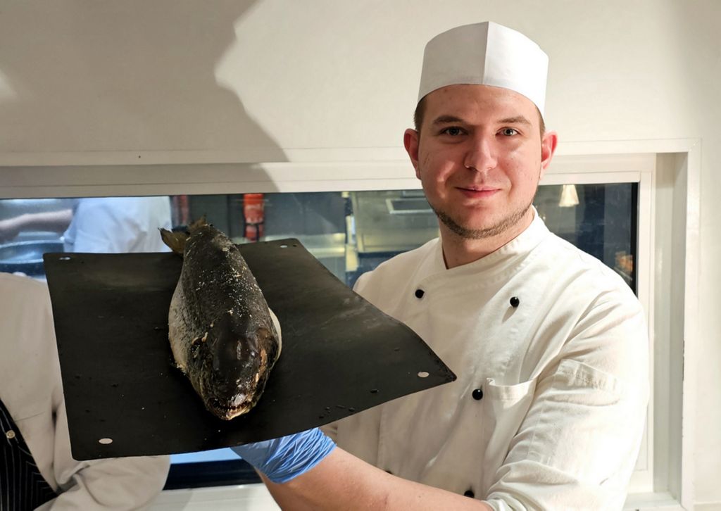 Ein Lachs aus Norwegen auf der HANSEATIC nature serviert