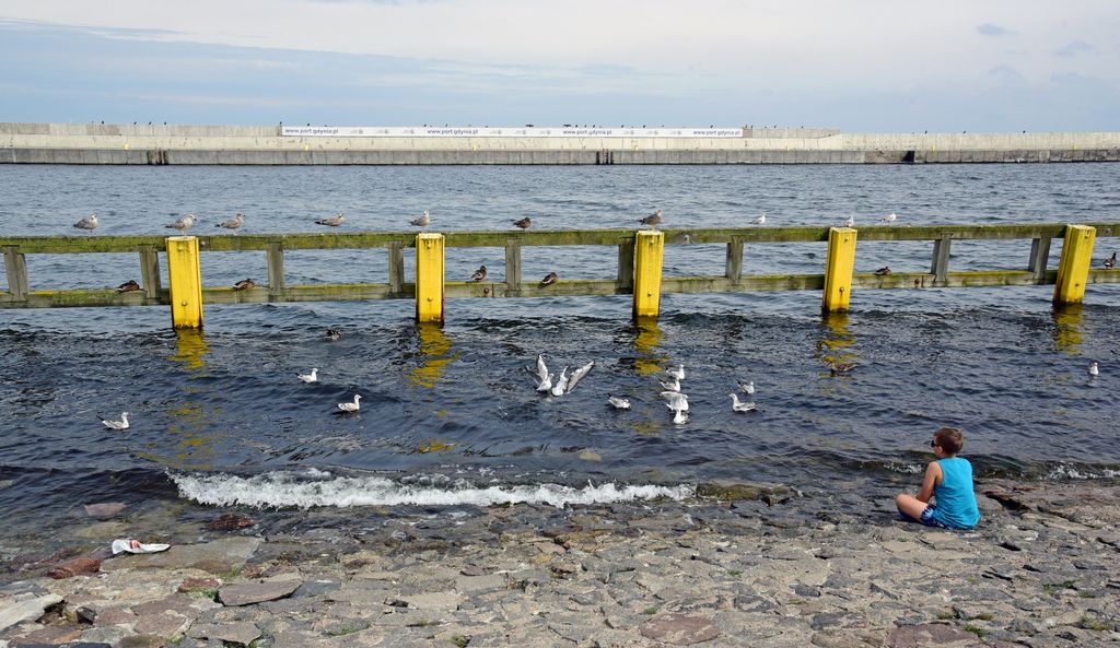 „Vögel versenken“ in Gdingen