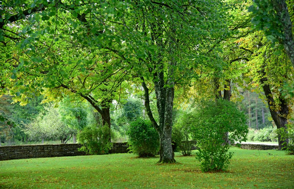 Der Park der Kirche von Gammelgarn, Gotland