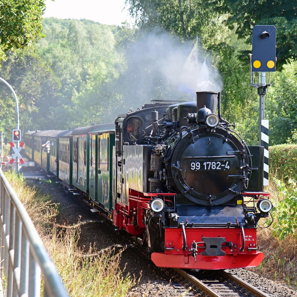 Der Rasender Roland auf Rügen