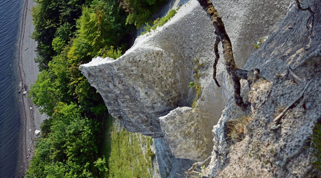 Kreidefelsen auf Rügen