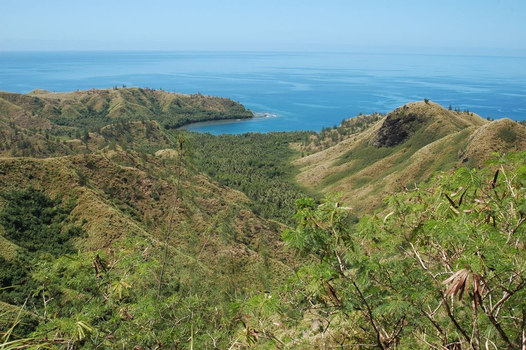 Cetti Bay Overlook