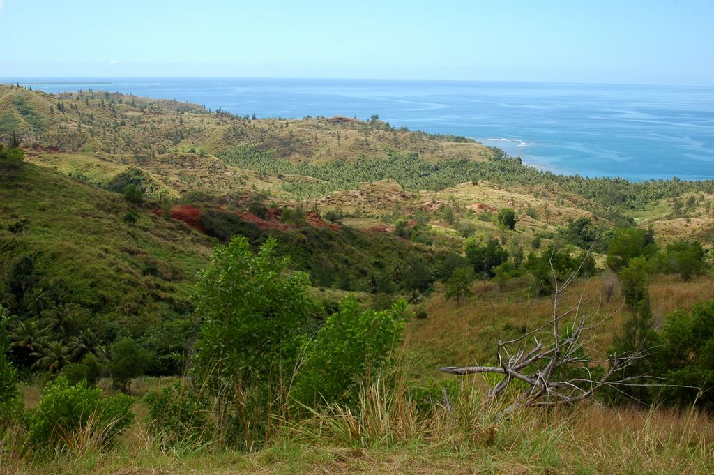 Cetti Bay Overlook