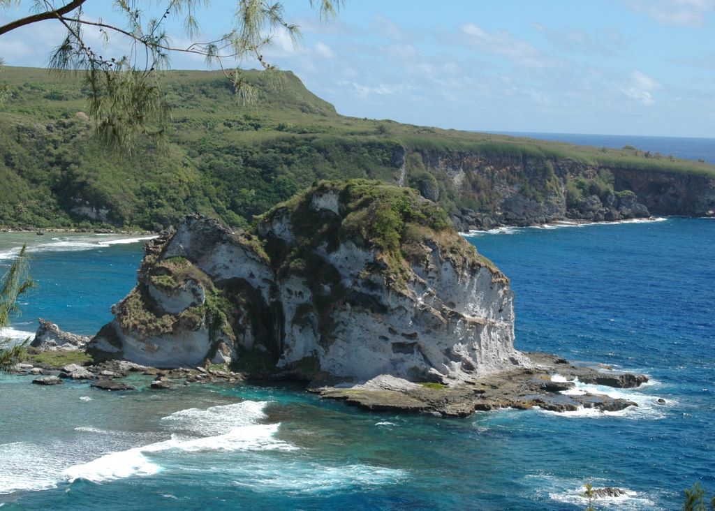 Bird Island