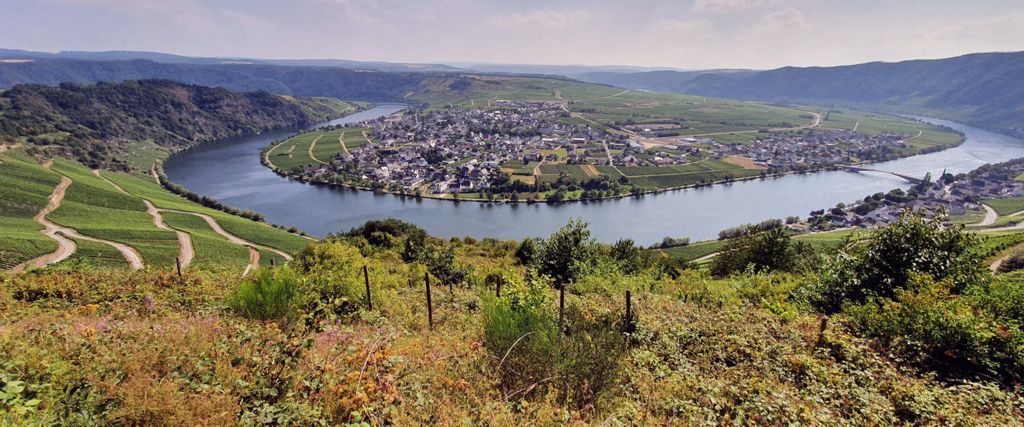 Mosel-Panoramablick auf Piesport und Umgebung