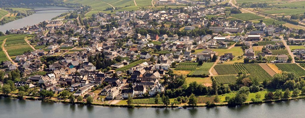 Mosel-Panoramablick auf Piesport und Umgebung