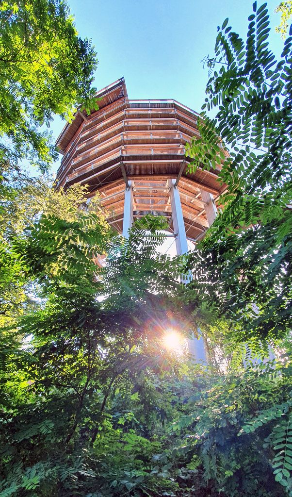 Der Aussichtsturm vom Baumwipfel-Pfad der Saarschleife