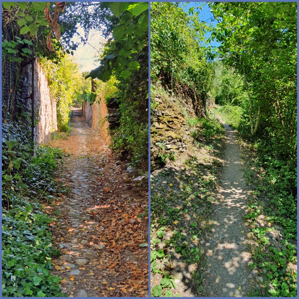 Wanderwege in Zell