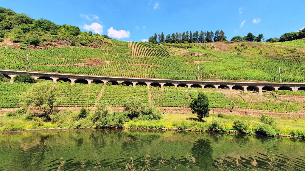 Blick auf die Mosel
