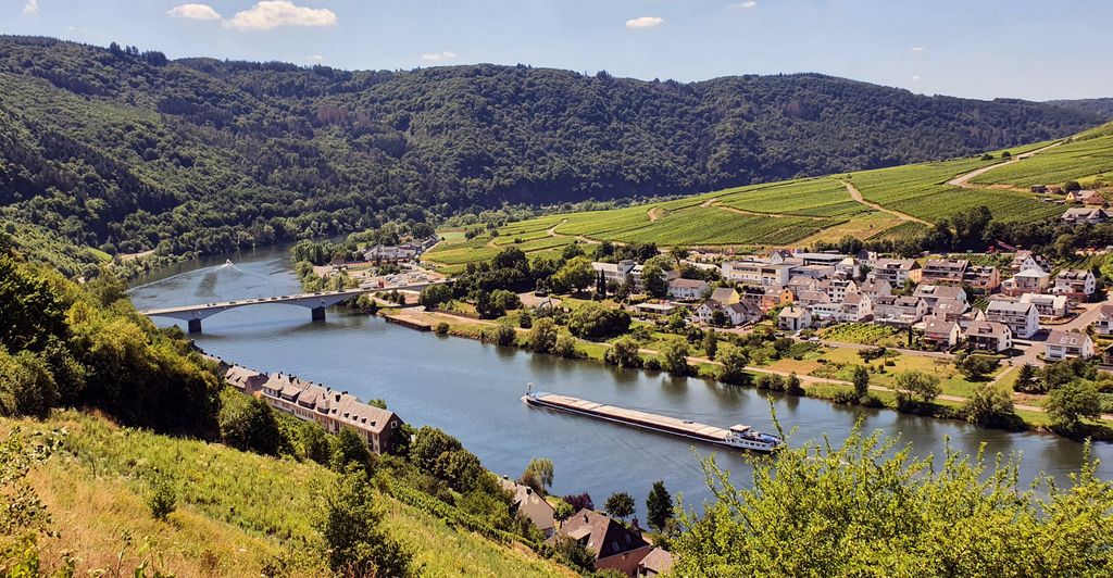 Blick auf die Mosel