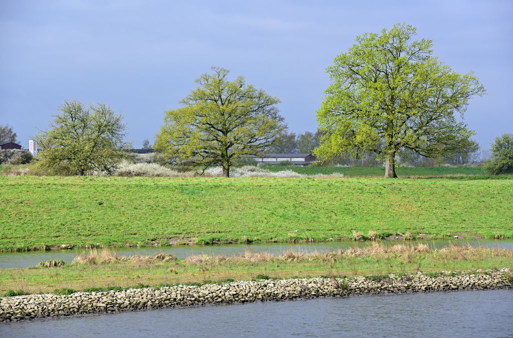 Unterwegs auf der Oder