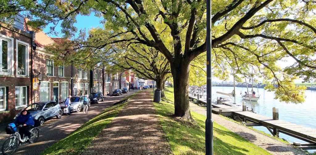 Am Hafen in Enkhuizen