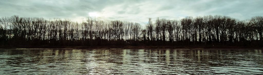 Blick auf den Rhein, gesehen von der MS VIVA TIARA aus