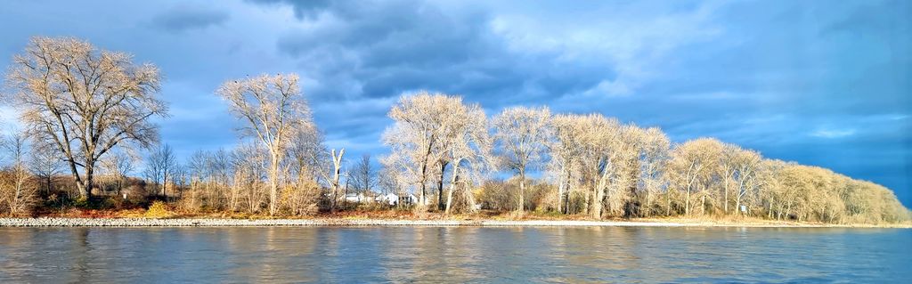 Blick auf den Rhein, gesehen von der MS VIVA TIARA aus