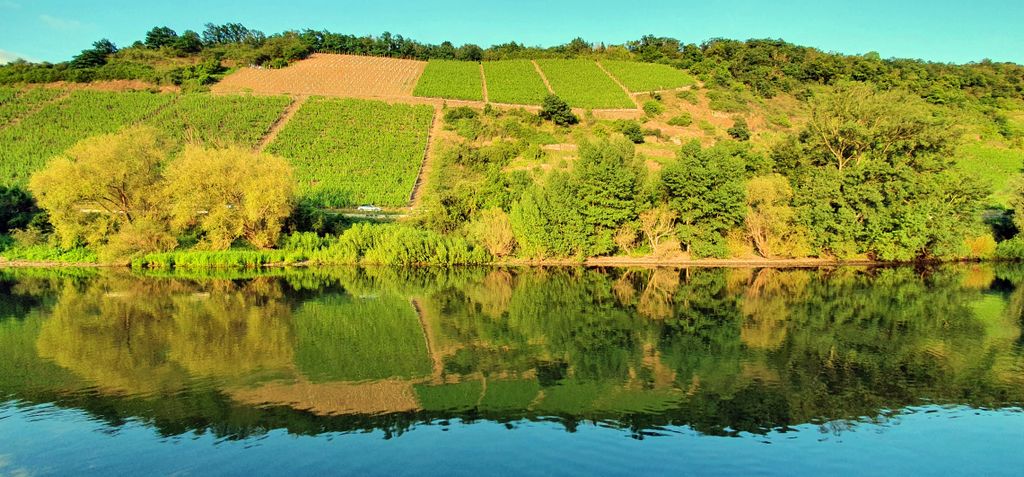 Spiegelungen auf dem Rhein