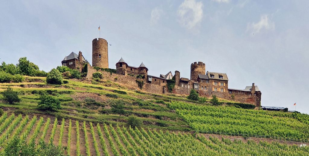 Die Ruine der Burg Thurant mit einem Hang zum Alkohol in Alken