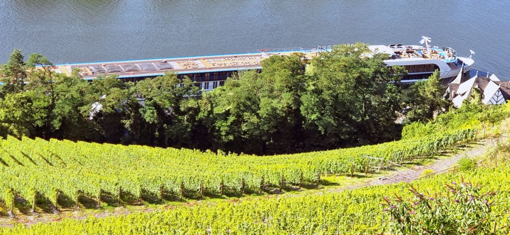 Auf dem Weg zurück nach Bernkastel-Kues