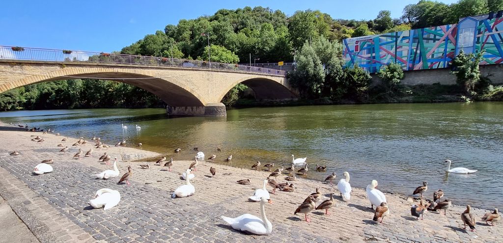 Die Sauerbrücke in Wasserbillig