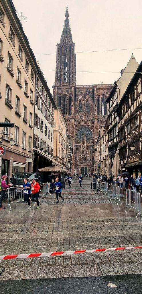 Das Münster in Straßburg