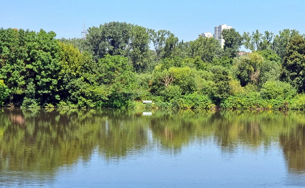 Hochheim am Main, das Ufer mit den Hochhäusern im Osten der Stadt