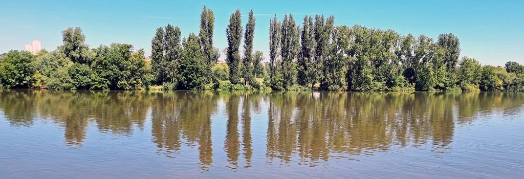 Hochheim am Main, das Ufer mit den Hochhäusern im Westen der Stadt