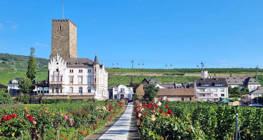 Die Brömserburg in Rüdesheim am Rhein