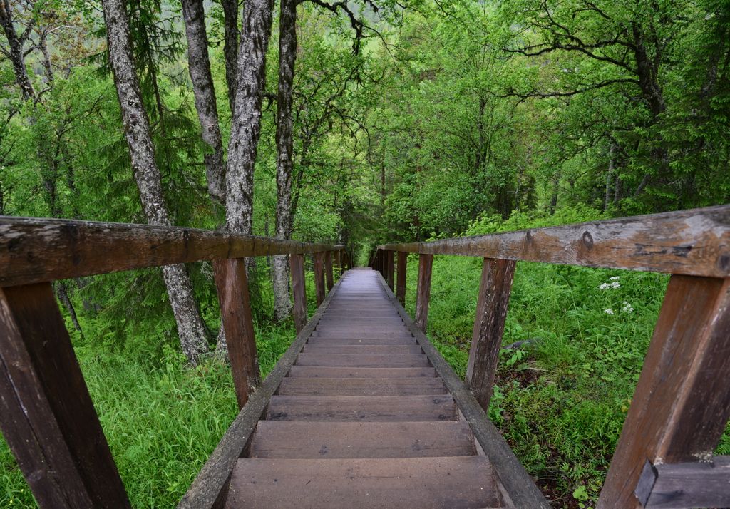 Bolschoi Solowezki, Russland