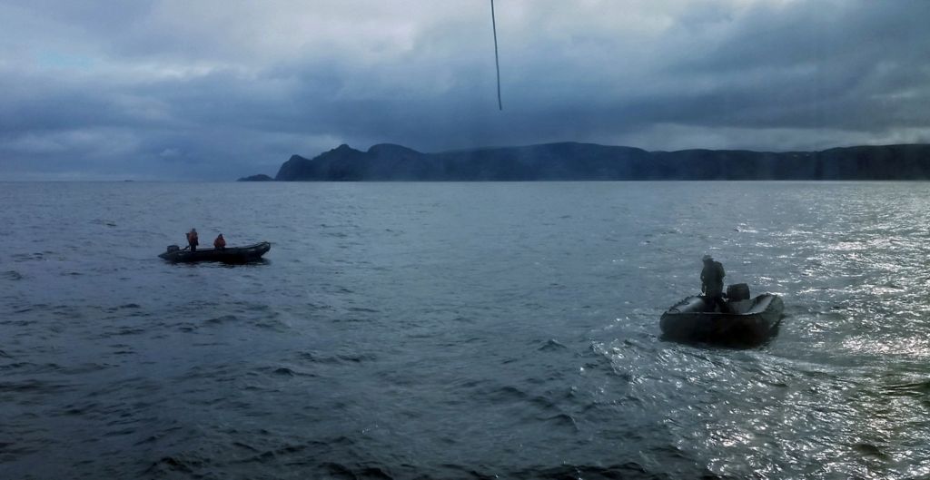 Zodiac Tour in Gjesværstappan Islands, Norwegen (Handy-Bild)