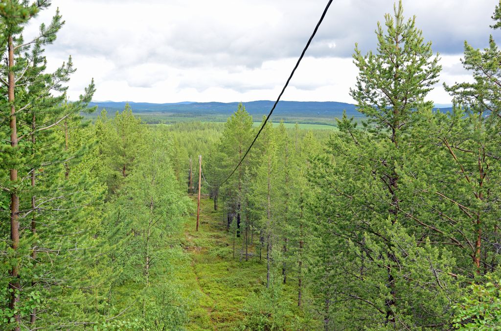 Ausblick vom Høyde 96 Aussichtsturm