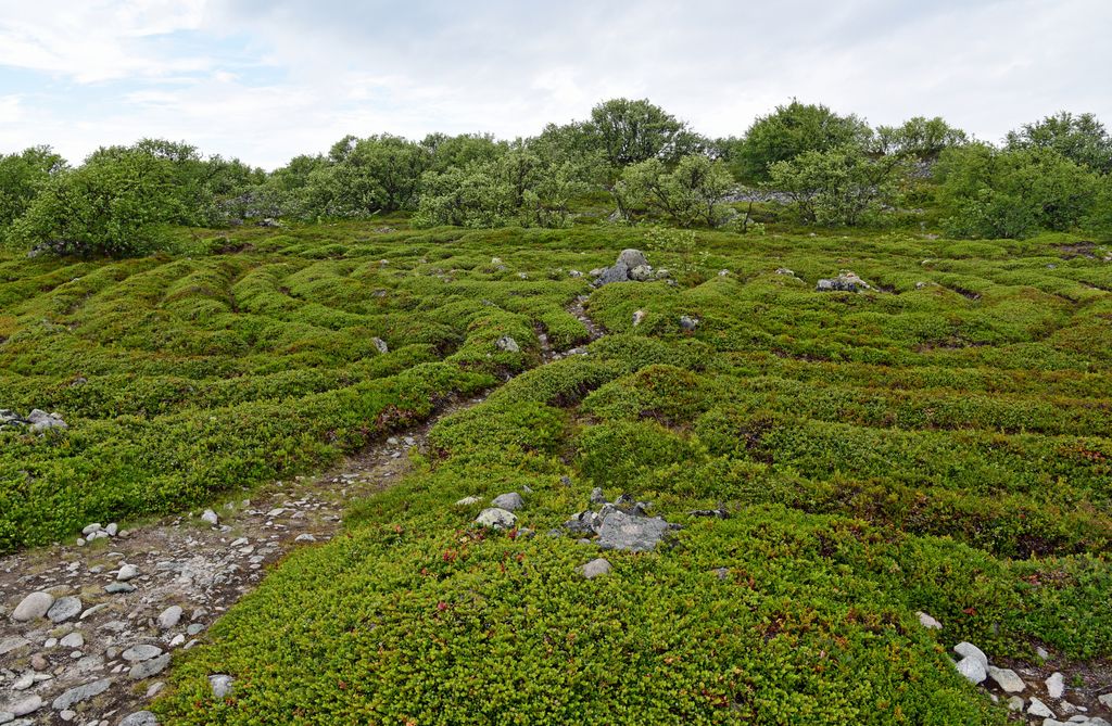 Labyrinth, Zayatski Island, Russland