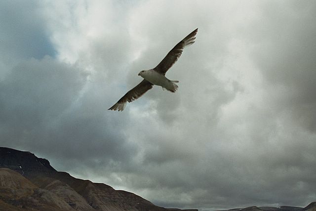 In Longyearbyen