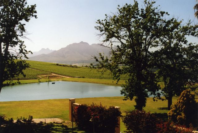 Weingut bei Stellenbosch