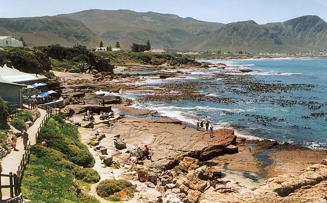 Wal-Beobachtung vom Land aus in Hermanus