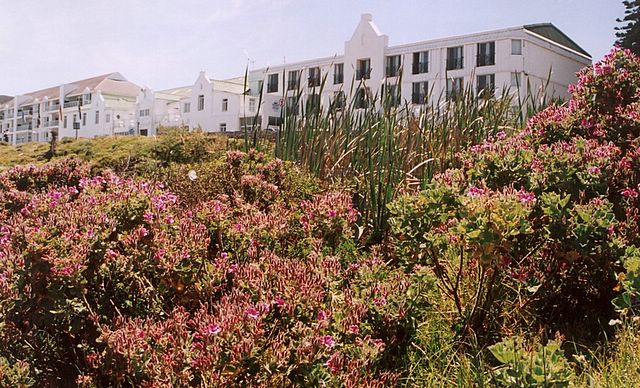 Mein Hotel in Hermanus