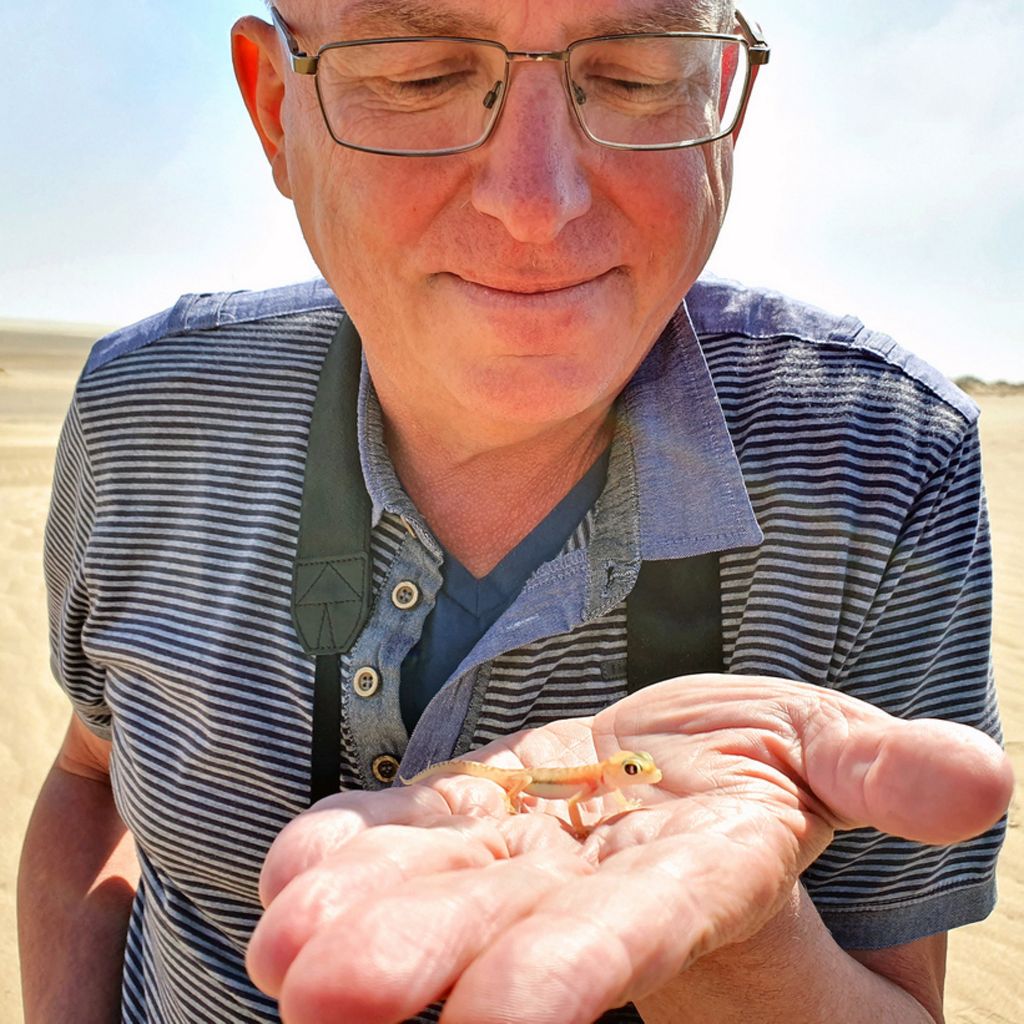 Zinni und sein Palmato-Gecko / Sandwich Harbour