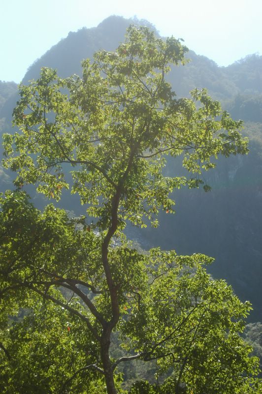 Im Taroko Nationalpark