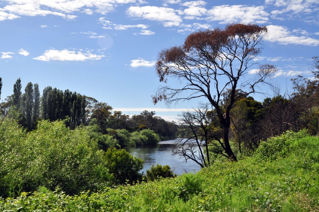 Unterwegs in Tasmanien