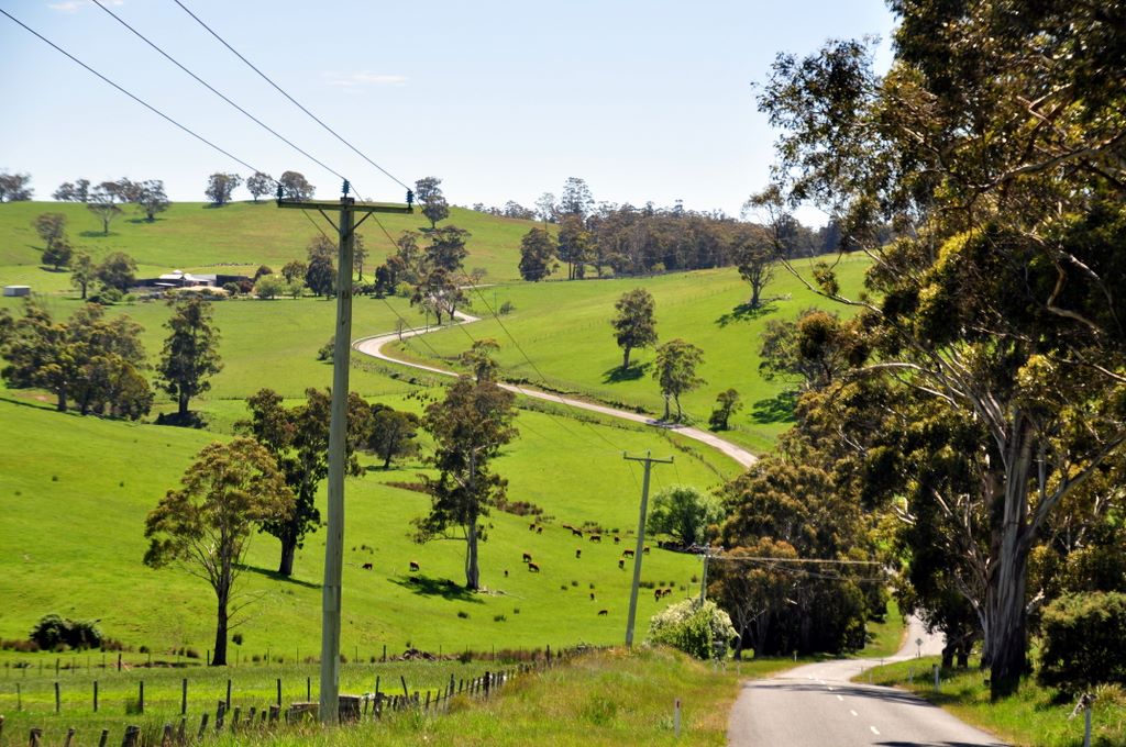 Unterwegs in Tasmanien