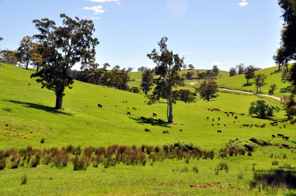 Unterwegs in Tasmanien