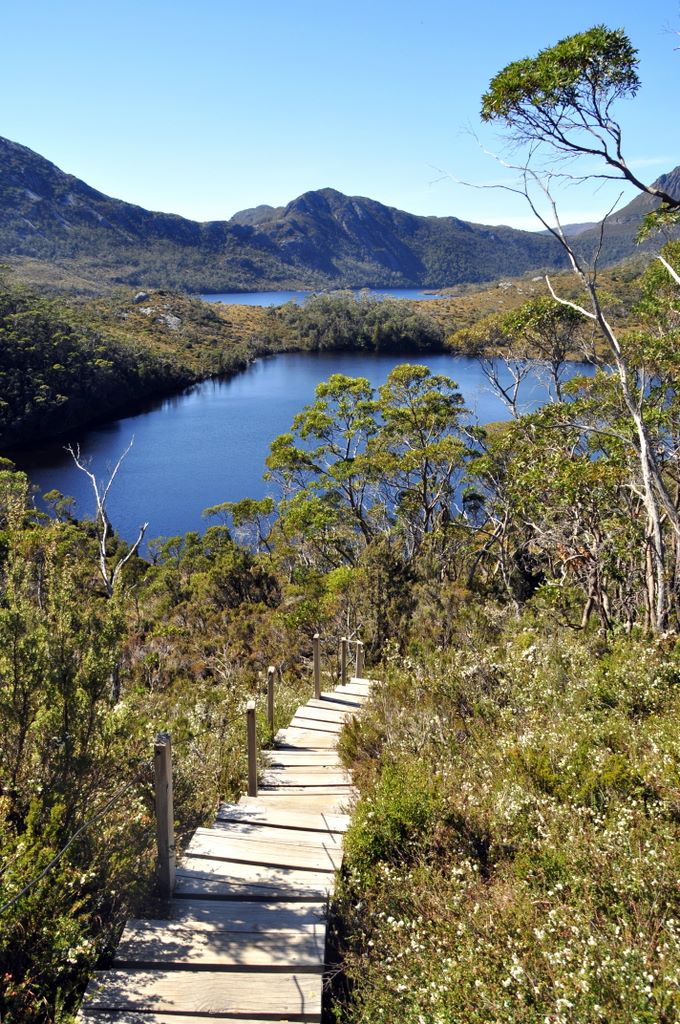 Im Cradle Mountain Nationalpark