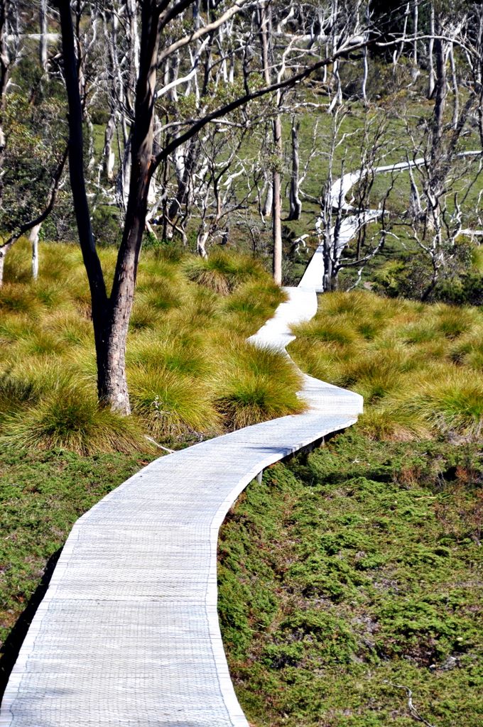 Im Cradle Mountain Nationalpark