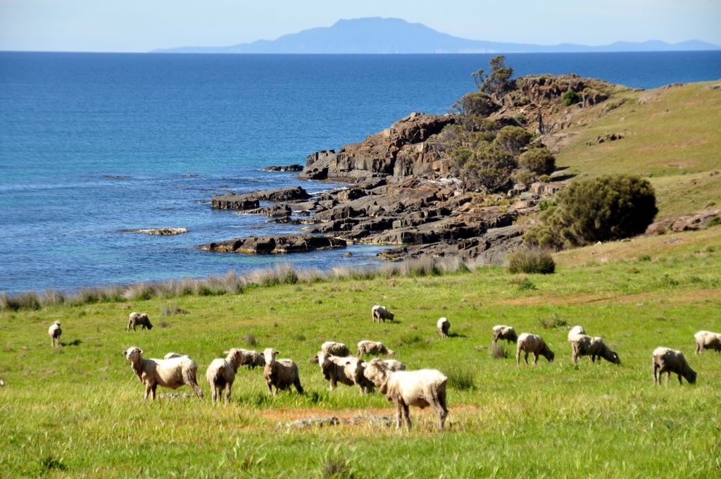 Unterwegs in Tasmanien