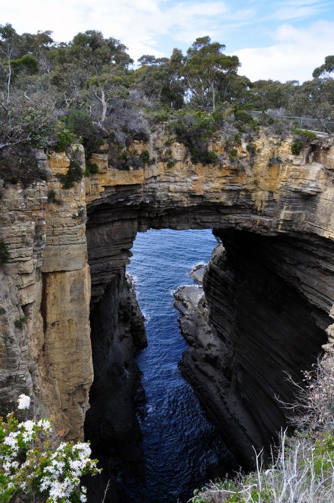 Unterwegs in Tasmanien