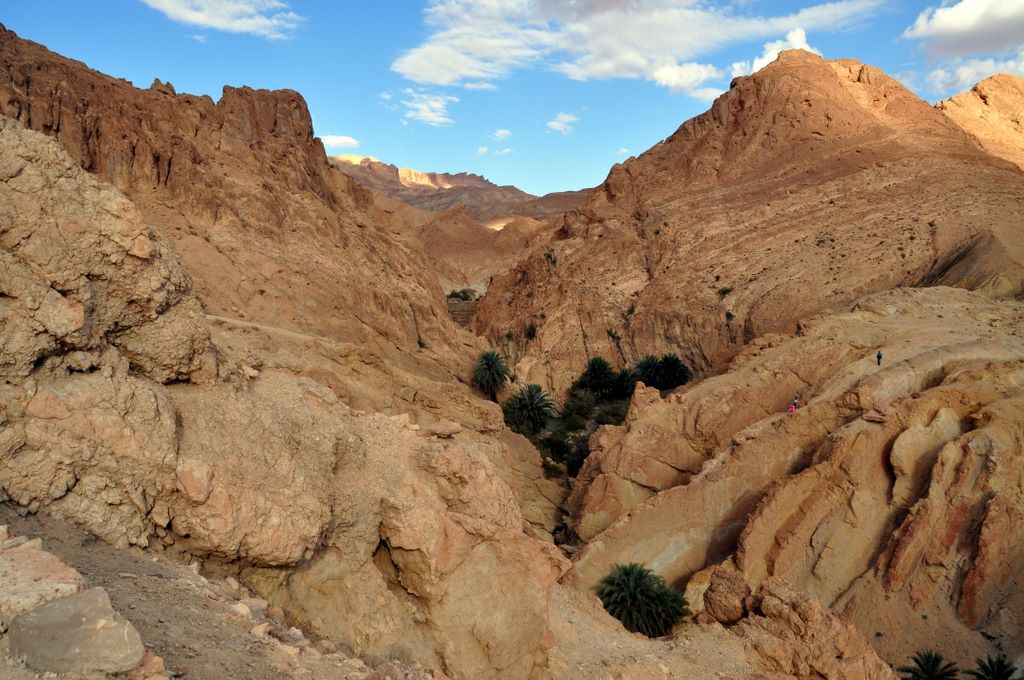 Die Oase Chebika an der Grenze zu Algerien