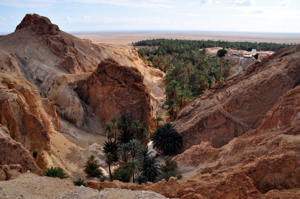 Die Oase Chebika an der Grenze zu Algerien